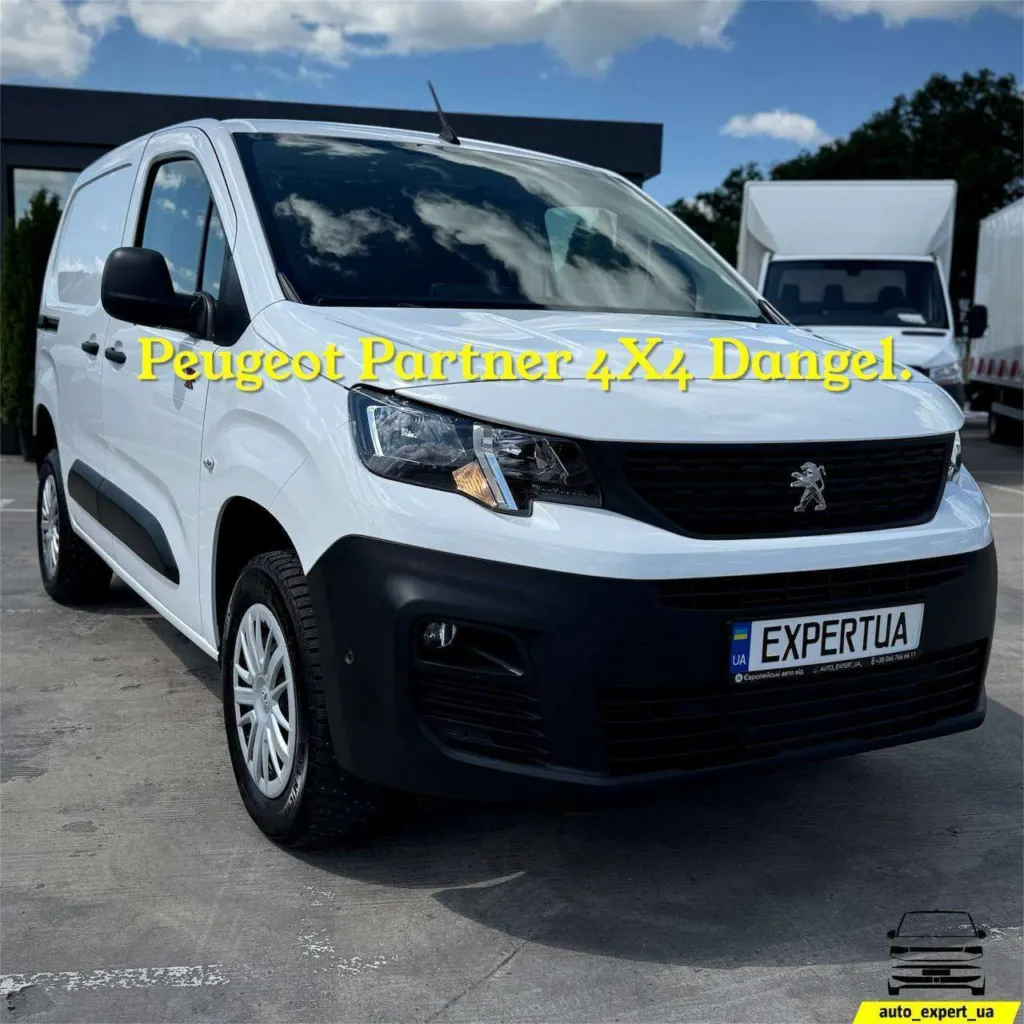 Peugeot Partner 4X4 Dangel — фото 10