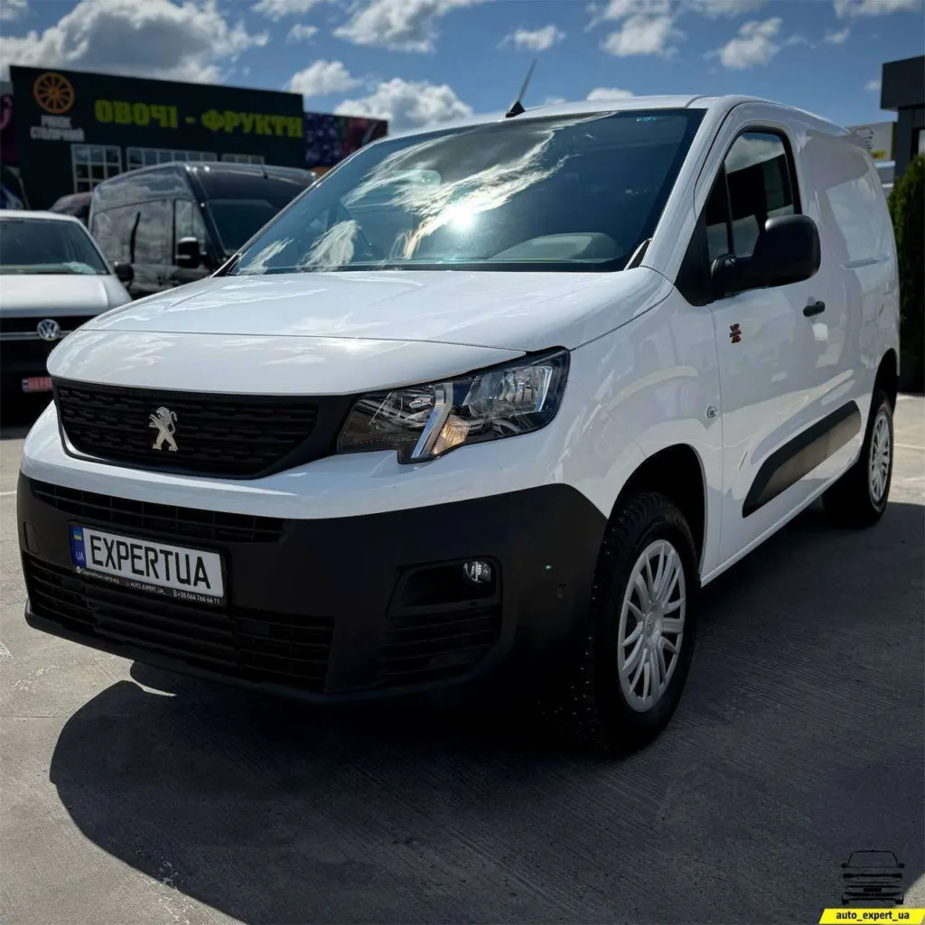 Peugeot Partner 4X4 Dangel — фото 1