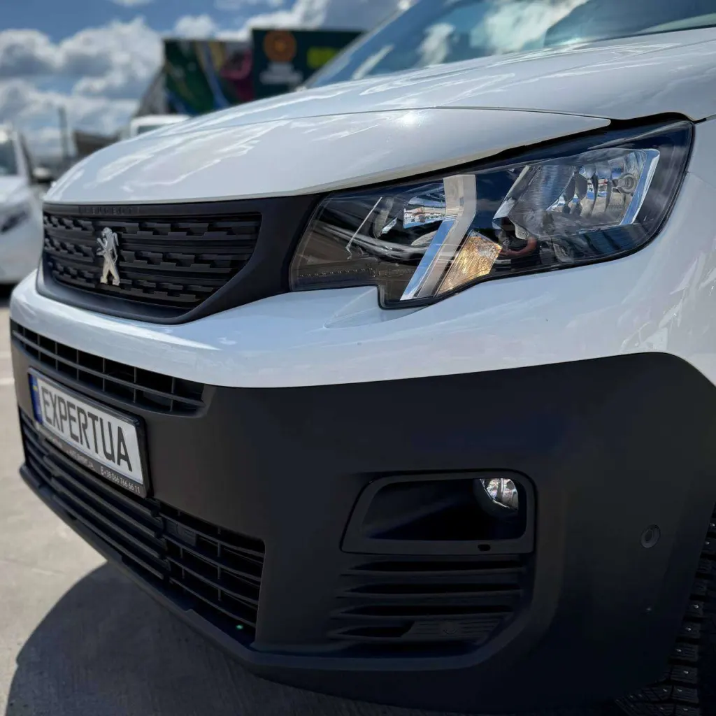 Peugeot Partner 4X4 Dangel — фото 11