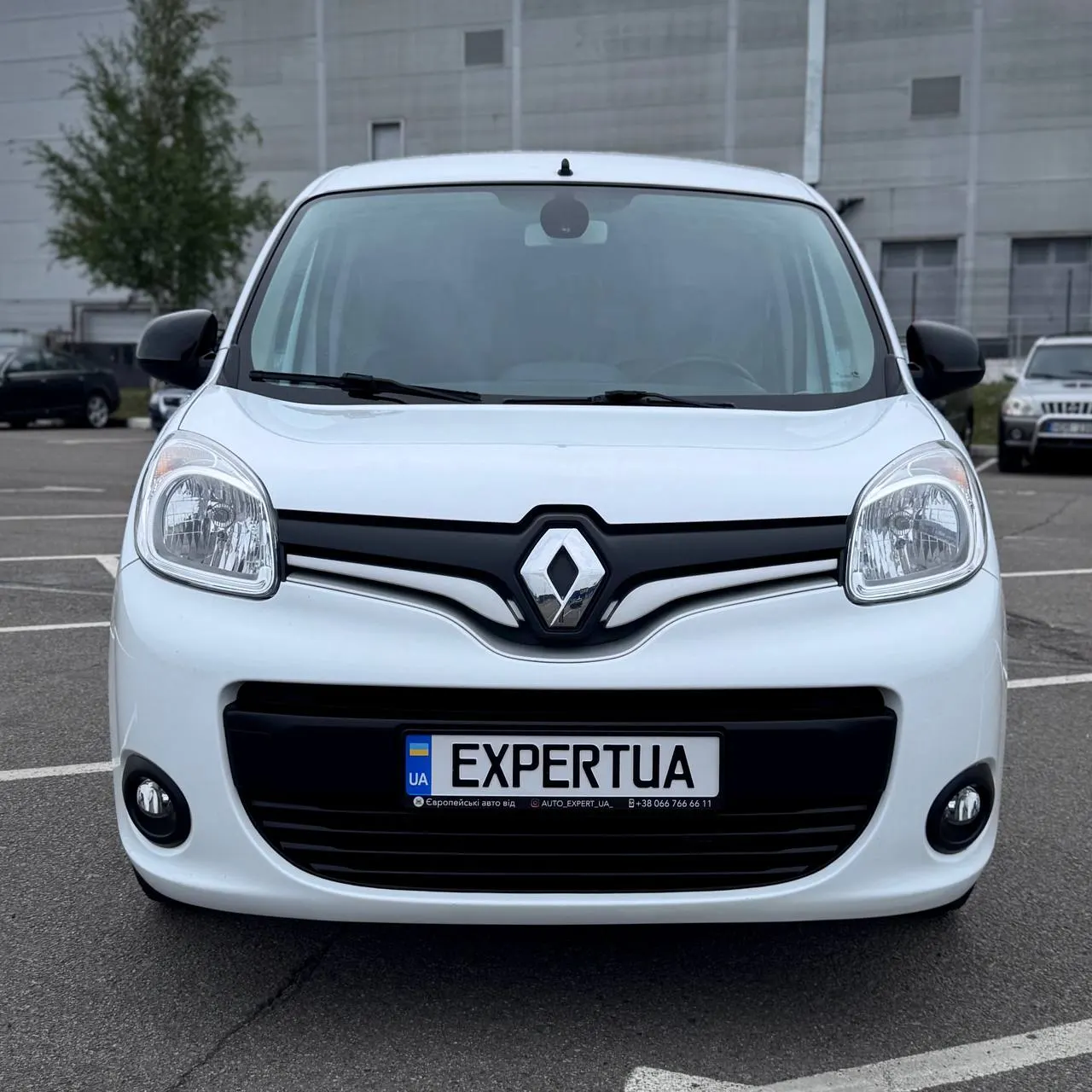 Renault Kangoo — фото 8