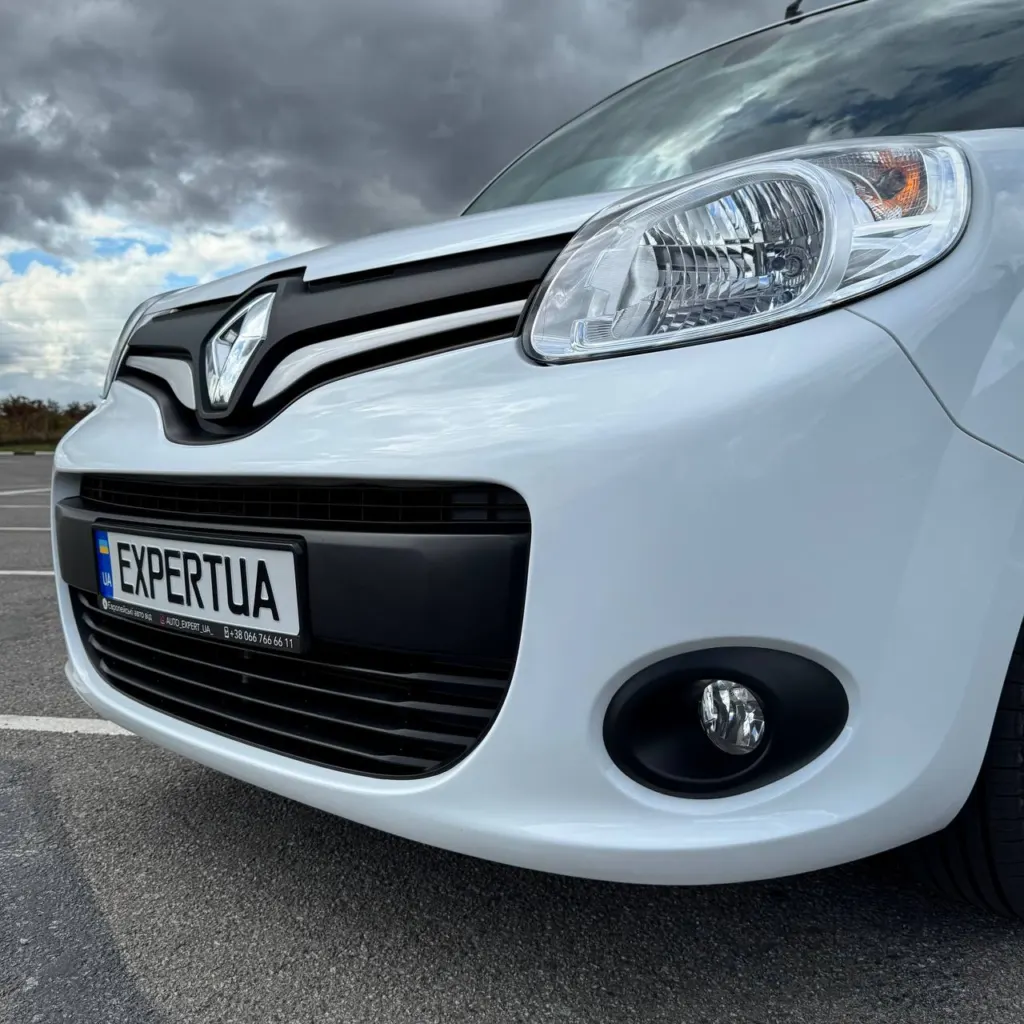 Renault Kangoo — фото 8